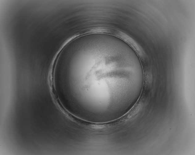 X0000102500852200808081347
