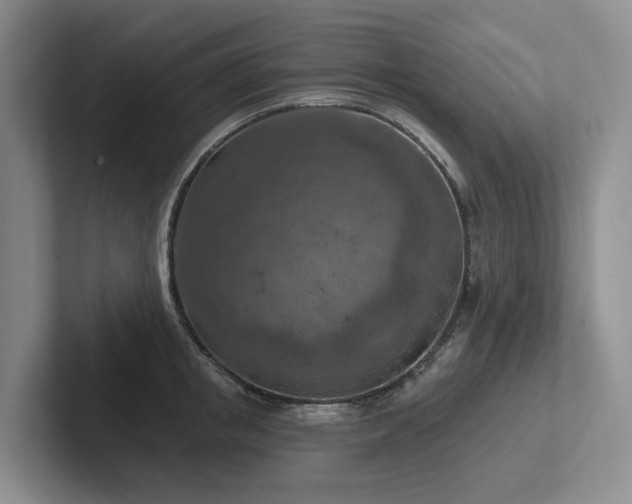 X0000102500853200808081347