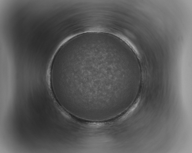 X0000102500854200808081347