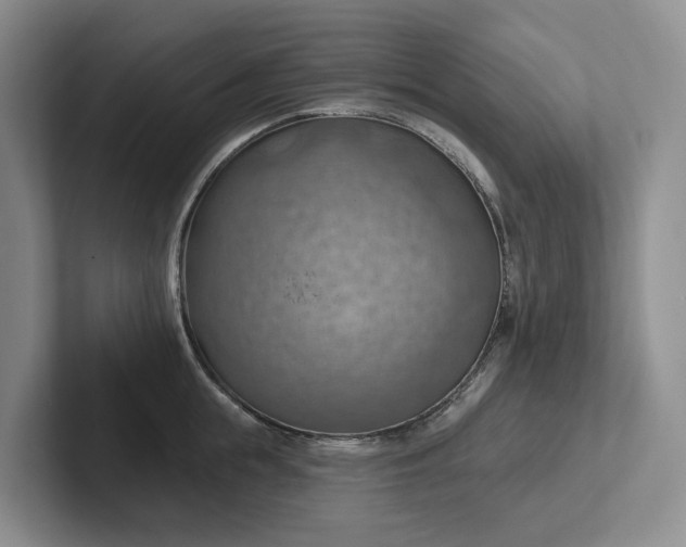 X0000102500855200808081347