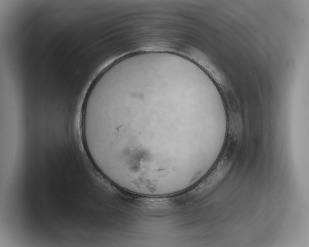 X0000102500856200808081347