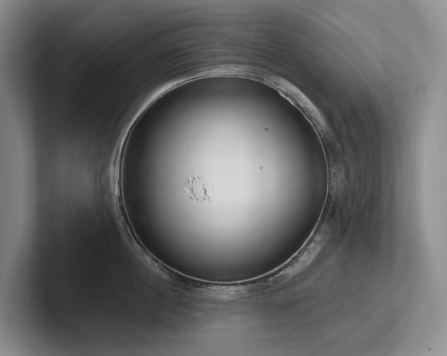 X0000102500860200808081347