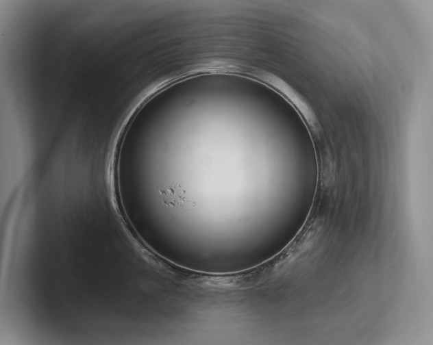 X0000102500861200808081347