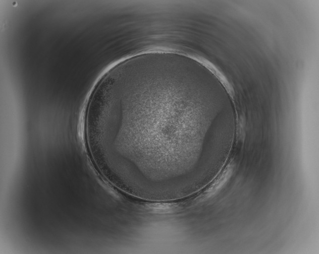 X0000102500862200808081347