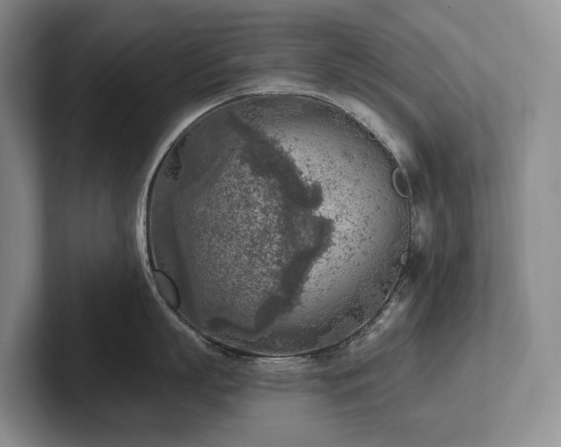X0000102500863200808081347