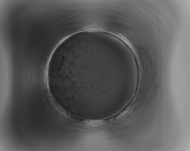 X0000102500864200808081347