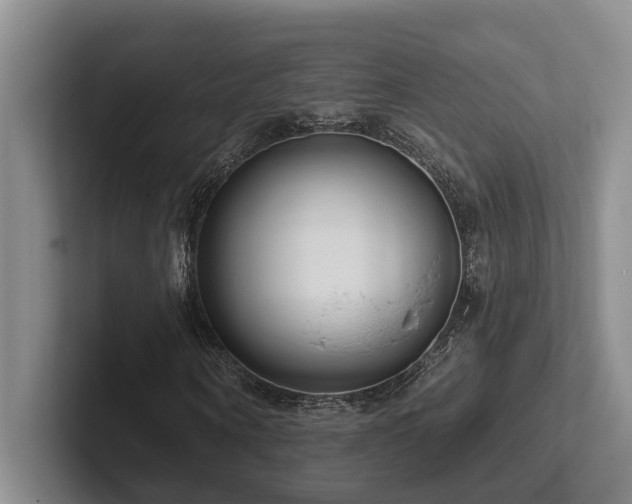 X0000102500866200808081347