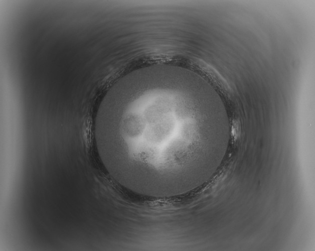 X0000102500867200808081347