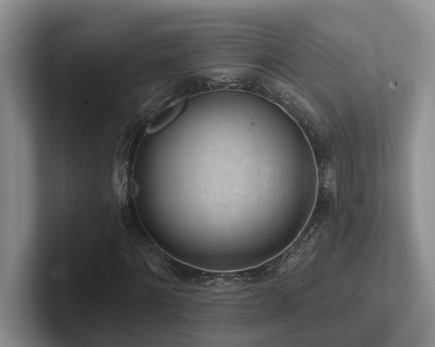 X0000102500868200808081347