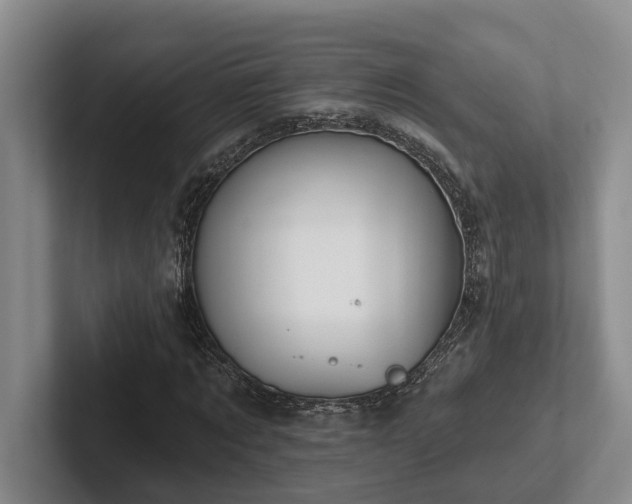X0000102500869200808081347