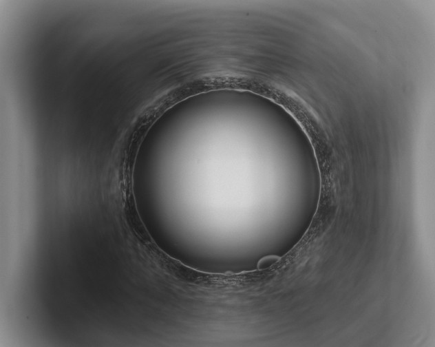 X0000102500870200808081347