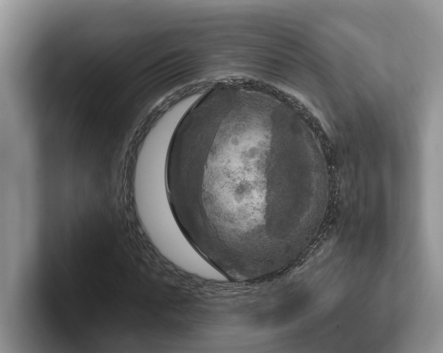 X0000102500871200808081347