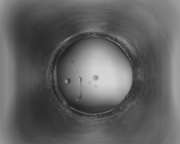 X0000102500872200808081347