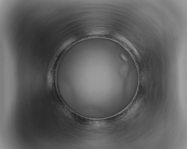 X0000102500874200808081347