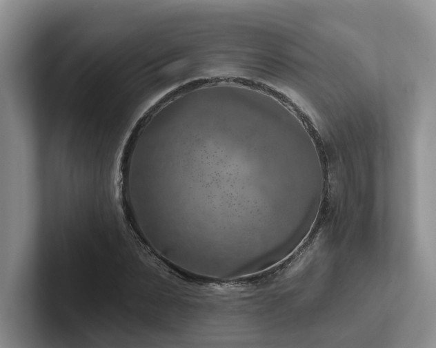 X0000102500879200808081347