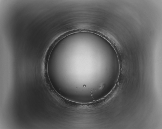 X0000102500880200808081347