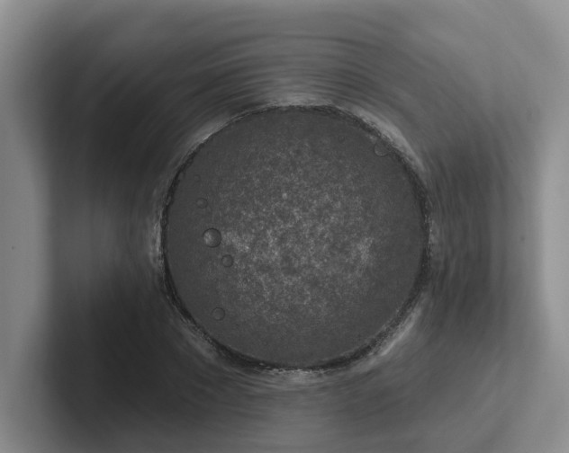 X0000102500881200808081347