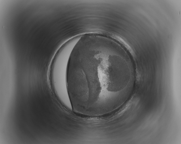 X0000102500883200808081347