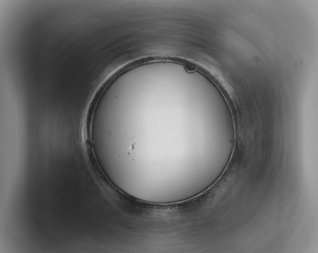 X0000102500887200808081347