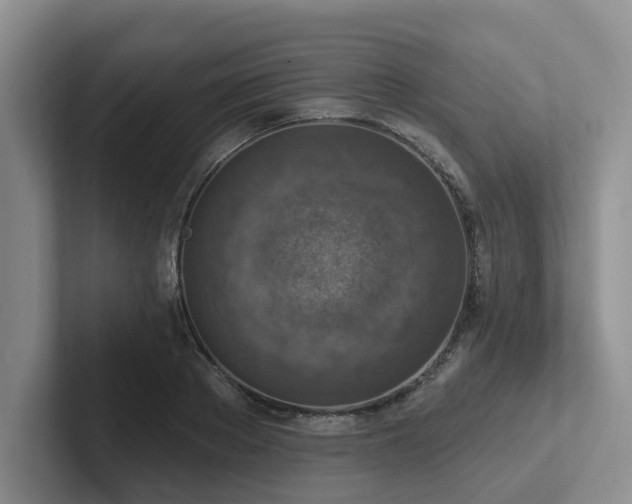 X0000102500889200808081346