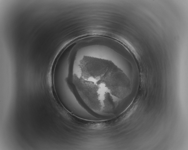 X0000102500891200808081346