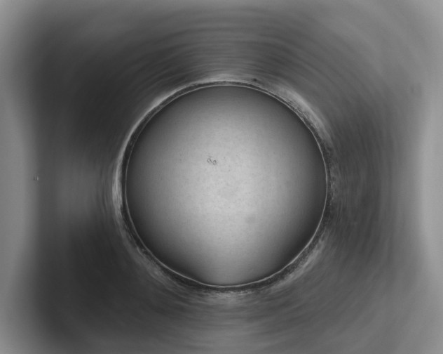 X0000102500892200808081346