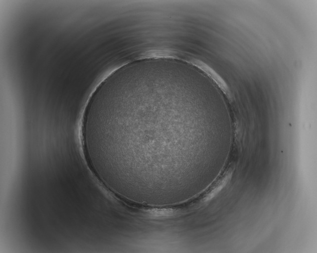 X0000102500893200808081346