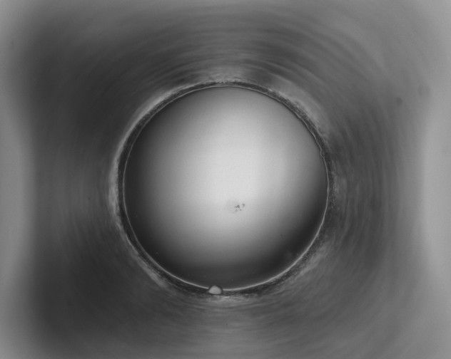 X0000102500894200808081346