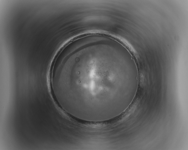 X0000102500895200808081346