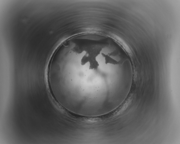 X0000102500899200808081346