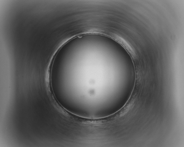 X0000102500900200808081346