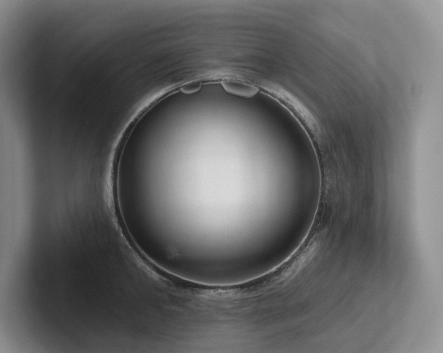 X0000102500902200808081346