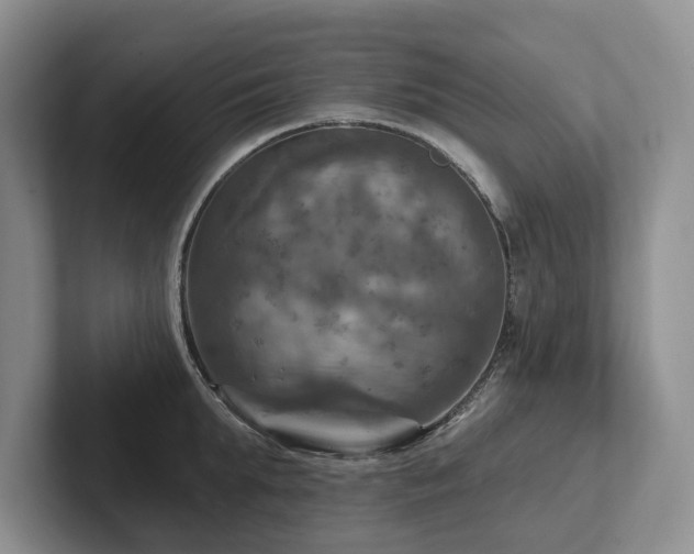 X0000102500903200808081346