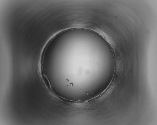X0000102500904200808081346