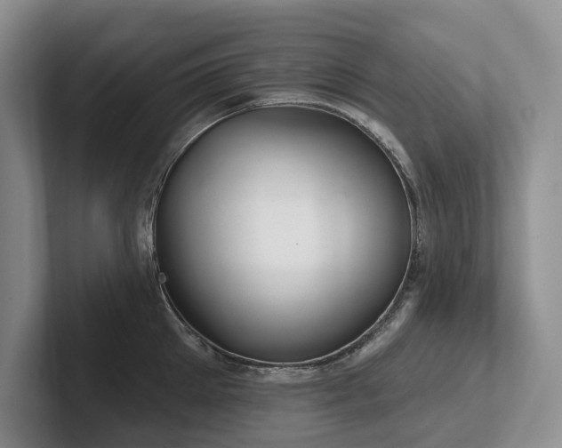 X0000102500905200808081346