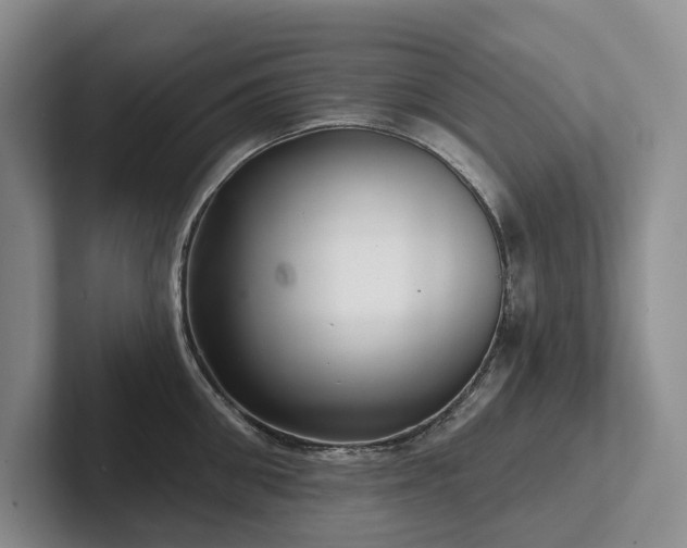 X0000102500906200808081346