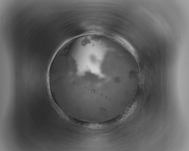 X0000102500907200808081346