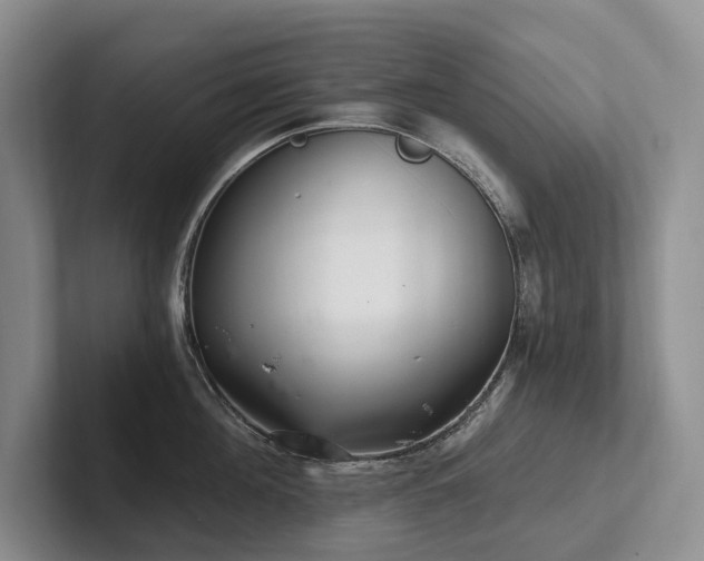 X0000102500908200808081346