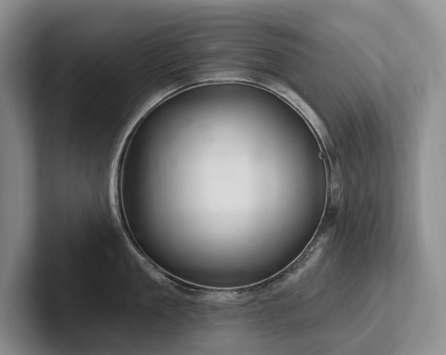 X0000102500909200808081346