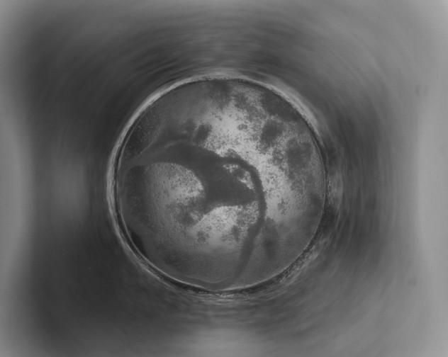 X0000102500911200808081346