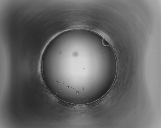 X0000102500912200808081346