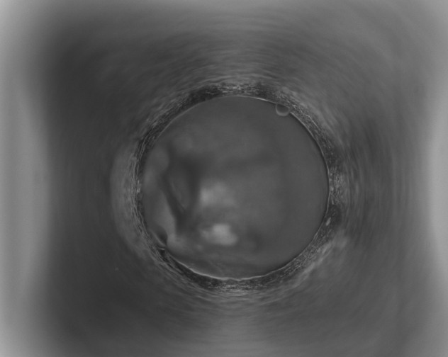 X0000102500913200808081346
