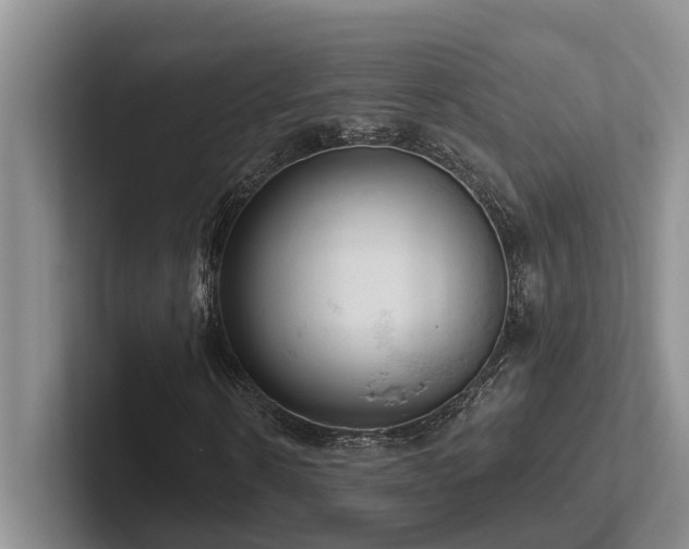X0000102500914200808081346