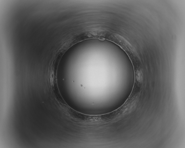X0000102500915200808081346