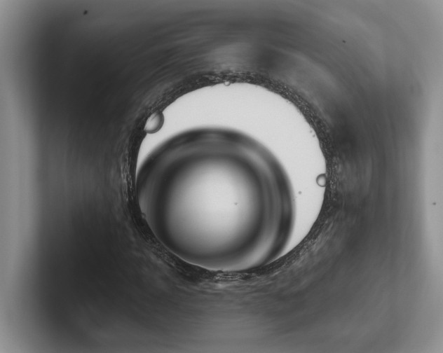 X0000102500918200808081346
