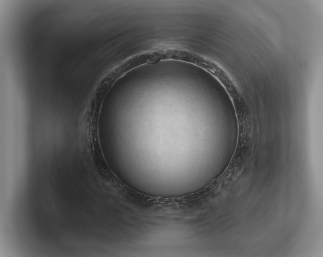 X0000102500919200808081346