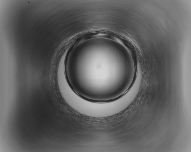 X0000102500920200808081346