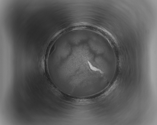 X0000102500921200808081346