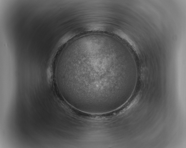 X0000102500922200808081346