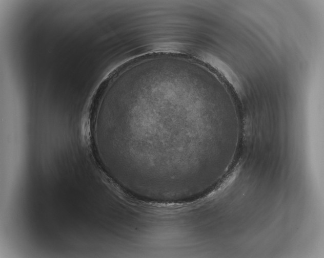 X0000102500923200808081346